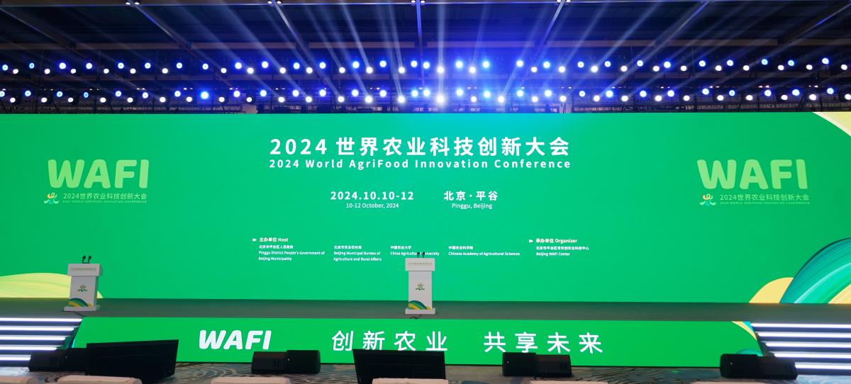 2024年资料大全免费,迈向未来，2024年资料大全免费共享时代