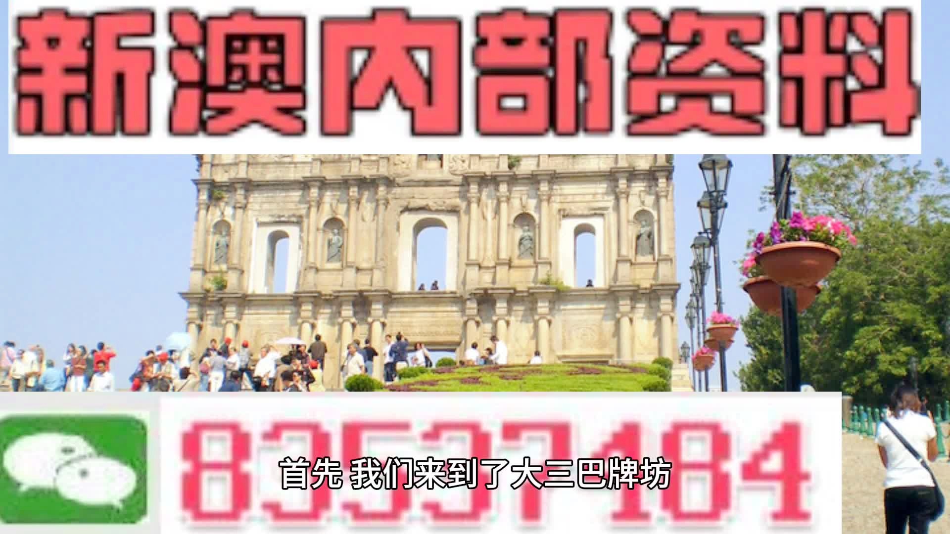 新澳2024年精准特马资料,新澳2024年精准特马资料，深度解析与预测