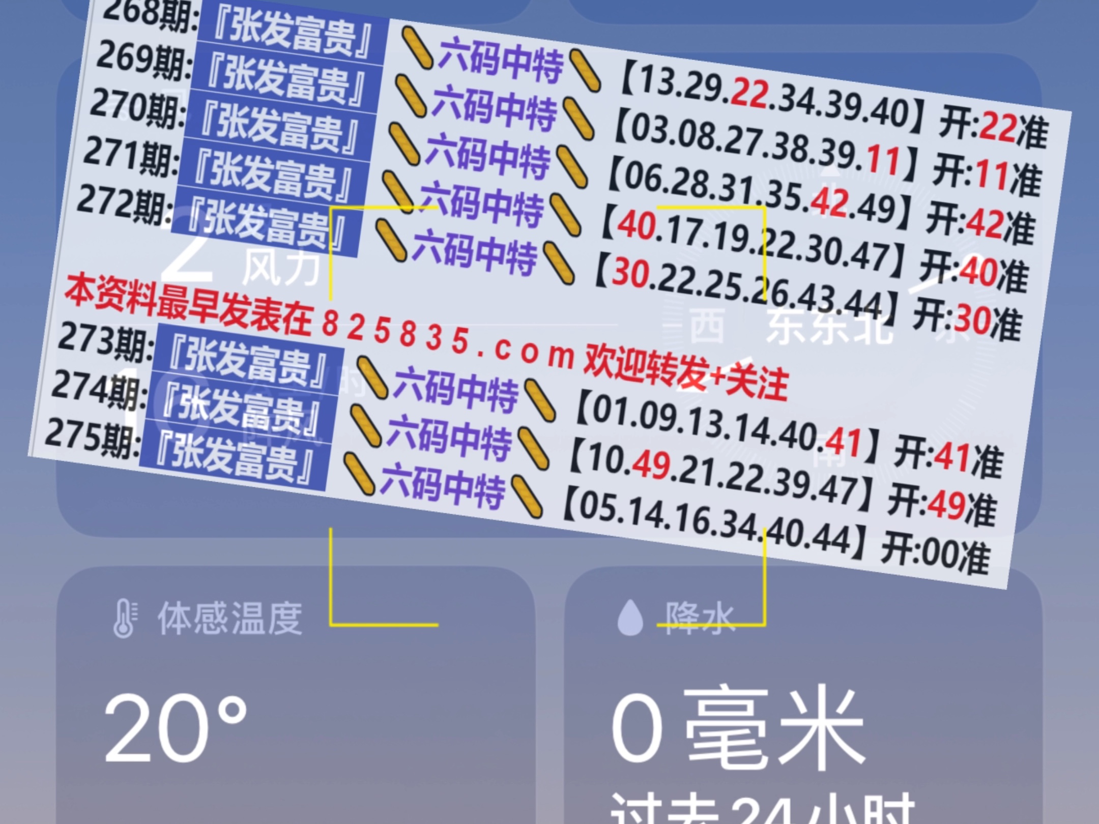 2024新奥门天天开好彩大全85期,探索新奥门天天开好彩大全的奥秘，第85期展望与解析