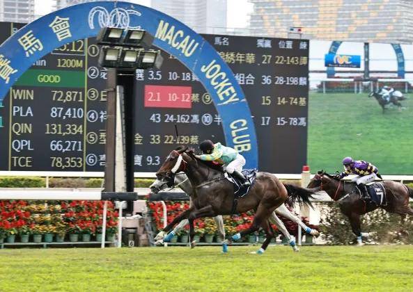 香港最准马会资料免费,香港最准马会资料免费，探索赛马世界的秘密