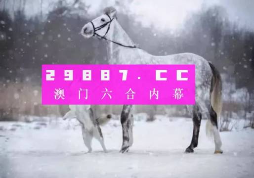 澳门公开一肖一码,澳门公开一肖一码的独特魅力与神秘面纱