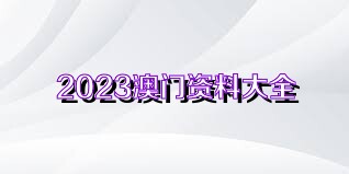 2025澳门正版免费精准大全,澳门正版免费精准大全，探索未来的彩票奥秘（2025展望）