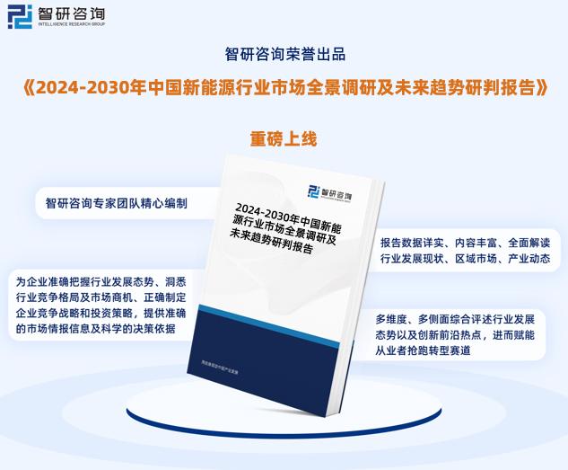 2025新奥马新免费资料,探索未来，2025新奥马新免费资料深度解析