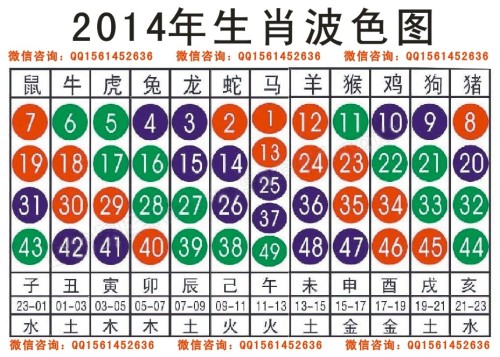 2025十二生肖49码表,揭秘2025十二生肖与彩票49码表的神秘关联