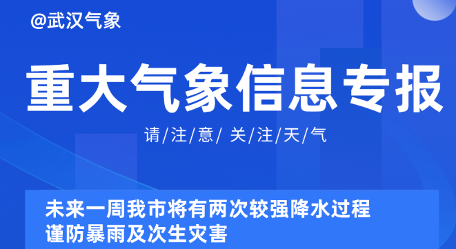 2025新奥资料免费精准资料,探索未来，免费获取精准新奥资料的途径与策略（2025展望）