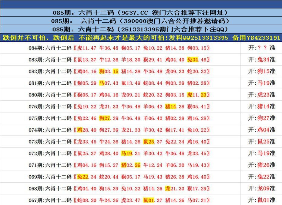 门澳六免费资料,门澳六免费资料的重要性及其影响