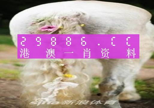 澳门正版资料全年免费公开精准资料一071期 04-13-32-35-37-41Y：19,澳门正版资料全年免费公开精准资料详解——以第071期为例