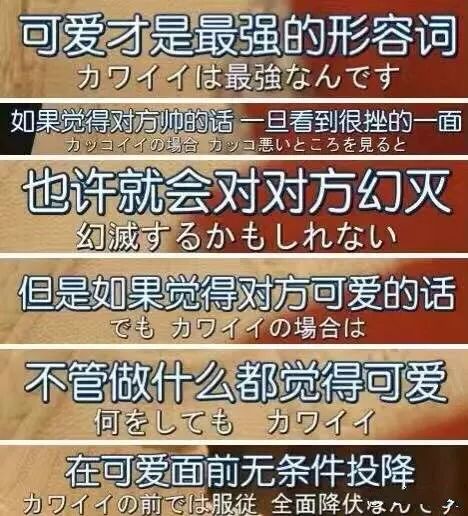 新奥门资料大全正版资料2025099期 12-17-24-39-40-46Y：01,新奥门资料大全正版资料解析，探索2025099期的奥秘与未来趋势（标题）