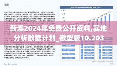 2025新澳免费资料118期 05-08-09-16-47-49K：45,探索2025新澳免费资料第118期，数字组合的魅力与策略