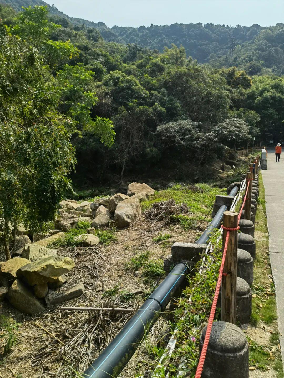 澳门雷锋心水论坛013期 02-03-05-08-09-39P：06,澳门雷锋心水论坛第013期，探索心水奥秘，传递雷锋精神——以数字06为纽带